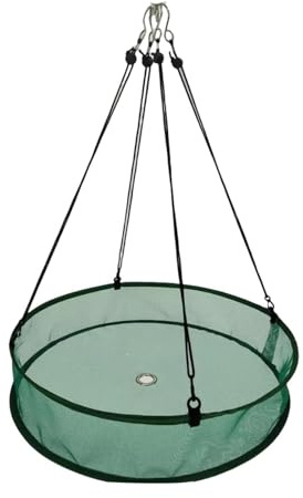 TAIZhiChen Vogelfutterstation mit Auffangschale, zum Aufhängen, für den Garten, Grün