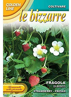 SEMENTI DI FRAGOLA DI BOSCO orto giardino semi seeds