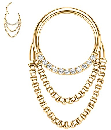 hengkaixuan 16G Septum Clicker Ring 316L Daith Ohrringe Rook Piercing Conch Jewe;ry Nasenring Hoop Higned Segment Seamless Clicker Ring Knorpel Tragus Helix Piercing Schmuck Kleine Creolen