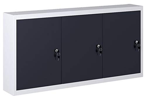 INLIFE Wand-Werkzeugschrank Industriedesign Metall Grau und Schwarz,13.95kg,145353