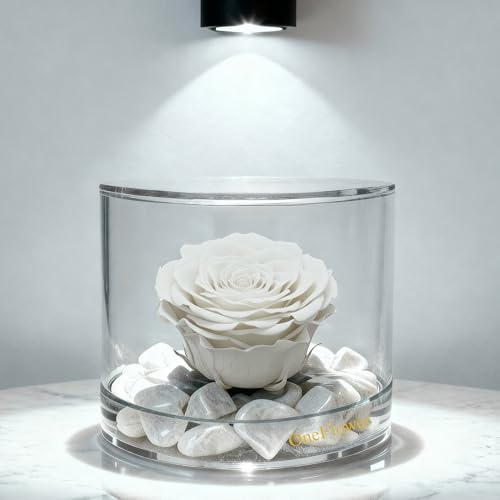 OneFlower by Premium Rose Box Tondo con Rosa Bianca Stabilizzata e Marmo di Carrara, Idea Regalo Unica e Raffinata, Idea Regalo per lei, Natale, Cubo Rosa Bianca, Fatta in Italia (Bianca 1098)