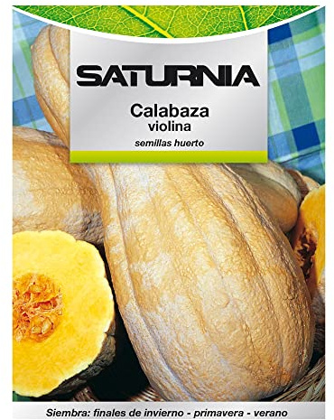 SATURNIA Semillas Huerto Calabaza Violina