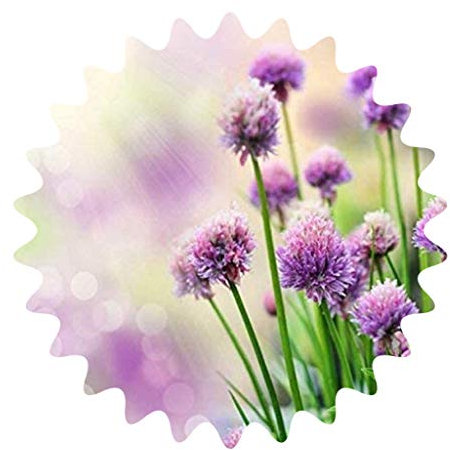 Puerro puerro/apiario/ornamental / 30 semillas/resistente/perenne