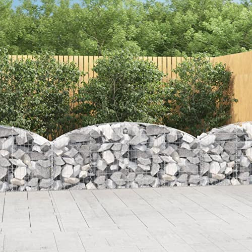 ZEYUAN Gabione mit Hochbogen, Gabionenkörbe, Gabionen Hochbeet, Steinkorb, Gabionengitter, Drahtkorb Für Pflanzen, Kräuterspirale Für Garten, 200x30x60/80 cm Verzinktes Eisen