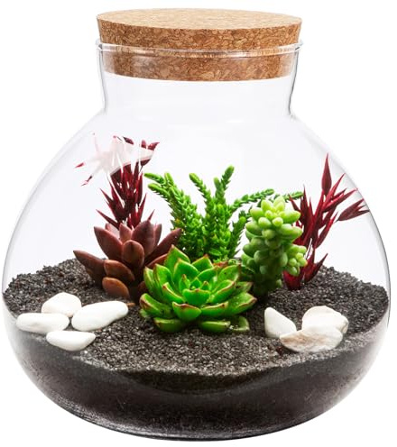 ROMISBABA Bouteille De Rangement en Verre Transparent Bouchon Liège, Bocal pour Micropaysage, Adapté pour Salle à Manger Et Bureau