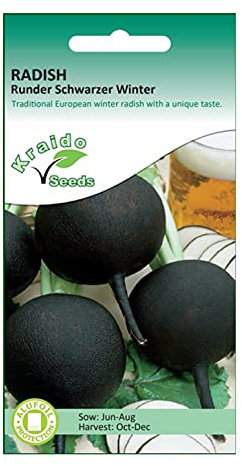 Black Winter Radish Seeds Runder Schwarzer Heirloom Raphanus Sativus 500 Seeds Grow Your Own Vegetable Perfect for Outdoor Growing or in Large Pots and Containers
