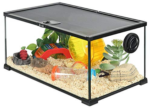 WYRMB Hamsterkäfig, Hamsterhaus, Glas, transparent, Hamsterhaus-Set, transparent, atmungsaktiv, Futtertank für kleine Tiere (transparent, 50 x 30 x 25 cm)