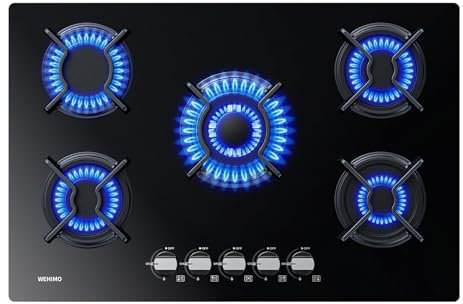 Wehimo - Placa de cocina de gas de 5 fuegos, placa de gas de 5 fuegos empotrable, mesa de cocción 60 cm, rejilla hierro fundido, 10500 W, cristal negro
