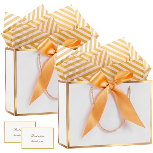 Mifferer Geschenktüten,2pcs Papier Geschenktüten mit Taschentuch und Karten | Geschenktüten mit Griffen für Frauen, Mädchen, Brautjungfern, Geburtstage, Valentinstag, 20cm*10cm*28 cm