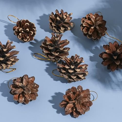 DAHI Tannenzapfen Anhänger Weihnachtsschmuck Zapfen Deko zum Anhängen Pinienzapfen als Weihnachtsdekoration (Holzfarbe)