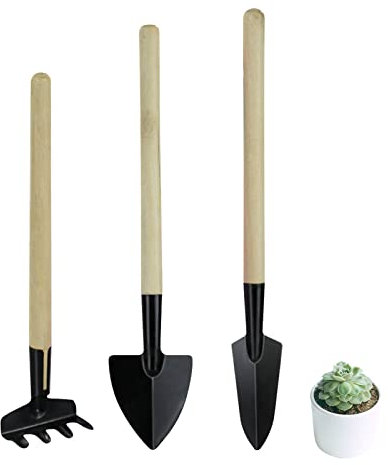 Andiker Lot de 3 Outils de Jardin Floraux durables avec poignées ergonomiques antidérapantes, Ensemble d'outils pour Plantes Grasses pour Jardinage en Plein air (poignée Fine)