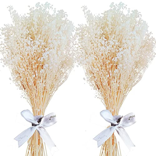 Getrocknete Schleierkraut im Großhandel 3000 Stück, 2 Bund echte Gypsophila, 17 natürlich getrocknet, ideal für DIY, Vase, Blumenhochzeit, Heim und Party Dekoration