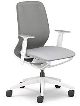 Sedus se:Motion Net, ergonomischer Bürostuhl fürs Homeoffice, individuell anpassbar, Grau, Gestell: Lichtgrau
