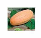 Pcs - 4x Spécial Graines Citrouille Rose Banane Jumbo - Graines de Citrouille Légumes KS559 - Seeds & Plants Shop by Ipsa