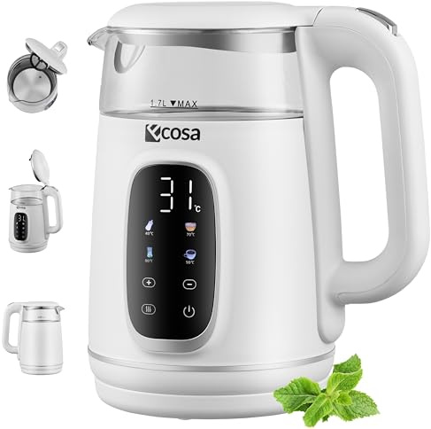 Ecosa Bollitore con regolazione della temperatura, vetro in acciaio inox, 1,7 litri, 2.200 Watt, senza BPA, con scelta della temperatura 40 °C – 100 °C – funzione di mantenimento al caldo