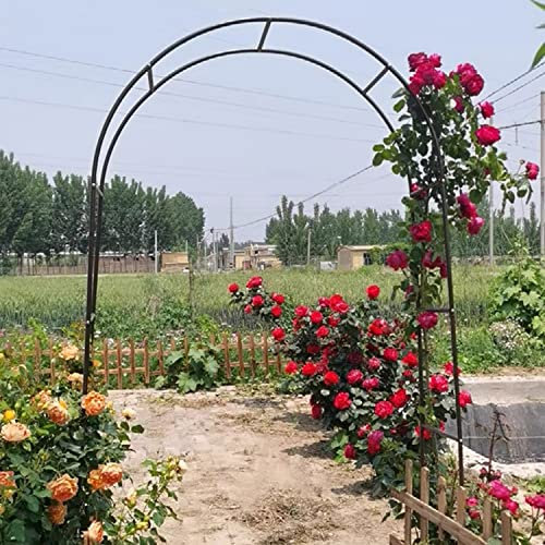 Black Garden Rose Arch For Climbing Plants 1.4×2.3M 1.8×2.2M 2.4×2.2M Metal Pergola Arbor Durable Trellis Arches For Entrance Backyard Wedding Courtyard Archway Decorations, Weather-Resistant ( Size :