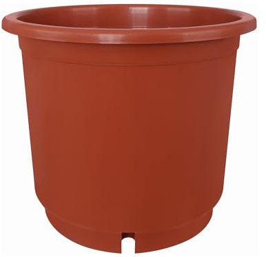 Erhard-Trading Containertopf Blumentopf Terracotta alle Größen (33 cm)