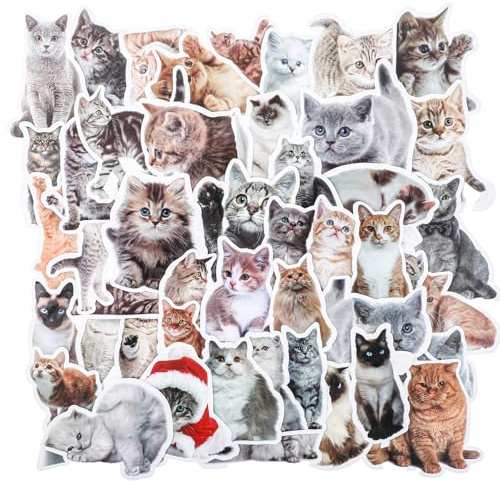 100 Stück Katzen Sticker Wasserfest Katzensticker Süße Katze Aufkleber Set Ästhetische Katzenform Sticker Katzenaufkleber für Katzenliebhaber DIY Koffer Notebook Telefon Mobiltelefone