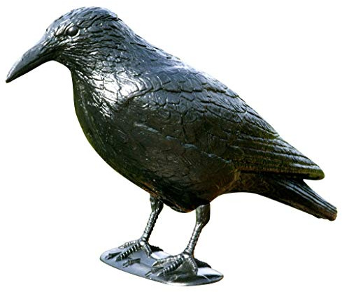 Windhager Répulsif Oiseaux Crow, Défense de Pigeon en Plastique, Protection Contre Les Oiseaux, Lutte Contre Les nuisibles, 37 cm, Noir, 07117