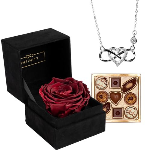 Infinity - Geschenk Set mit 1 Ewigen Rose und 925er Infinity Kette in Silber - (3 Jahre haltbare Rose mit 925er Silber Kette) - Als Geschenk verpackt