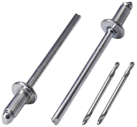 SKIR'CO 700 rivetti ciechi in acciaio zincato 3,0 x 6 mm, mandrino in acciaio, rivetti pop, testa a cupola, rivetti DIN 7337, punte da trapano incluse