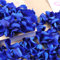 Skalago Véritables pétales de rose séchés, préservés naturellement, pour décoration de mariage, douche nuptiale, fiançailles, soirées romantiques et décoration de table - Confettis bleus