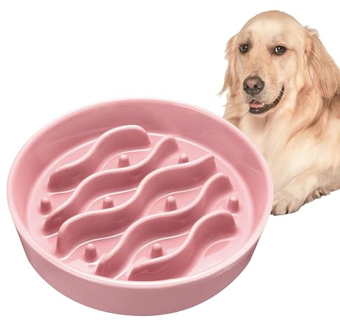 MOPANG Antischlingnapf Hunde Keramik, Antischlingnapf Hunde für Mittelgroßer/Großer Hund, Ø 21 cm, 1000ml (Lachsrot)