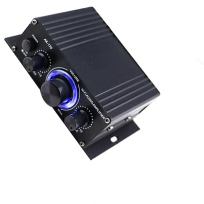 YIZITU HiFi Stereo Digitale Potenza Sonora Amplificatore Domestico 12V Suono Piccola Radio Auto per Altoparlante Home Studio Ufficio Involucro in Metallo Modulo