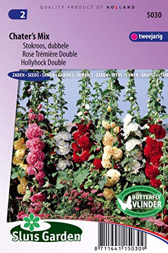 Hollyhock Chater's Strain Mix - Flower Seeds | Towering Elegance with a Carnival of Colors