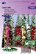 Rose Trémière double Chater's Mix - Graines De Fleurs Bisannuelles