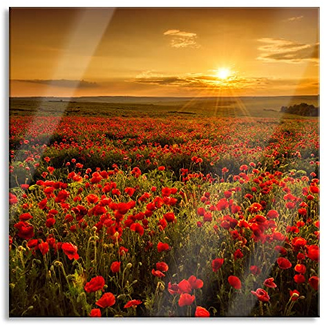 Pixxprint Glasbild, Wandbild auf Echtglas, Mohnblütenfeld bei Sonnenuntergang, 70x70 cm, inkl. Aufhängung und Abstandshalter