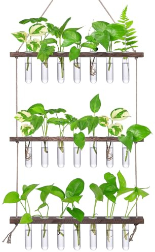XXXFLOWER Reagenzgläser für Blumen,Kleine Vasen Set mit Ständer für Pflanzen,3X7 Propagation Station,Ableger Pflanzen Glas,Zimmerpflanzen Zubehör Pflanzenterrarium Pflanzenhalter Terrarium