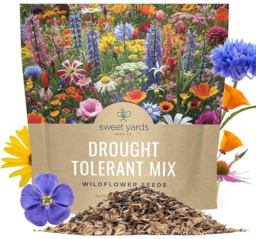 Drought Tolerant Wildflowers Mix – Extra Large Packet – Over 7,500 Open Pollinated Non-GMO Seeds – 21 Different Dryland Species