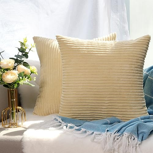 CALIYO Kissenhülle Kord Uni 2er Set, Kissenbezug 50x50 Kissenbezüge für Zierkissen Dekokissen Sofakissen Couchkissen in vielen Farben.