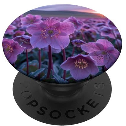 Superbe motif coucher de soleil sur le champ de fleurs d'hellébore PopSockets PopGrip Interchangeable