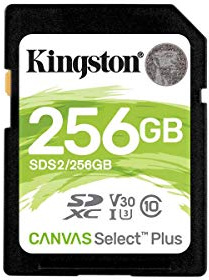 Kingston Tarjeta de memoria SDXC clase 10 de 256 GB SDS2