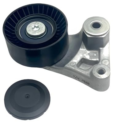 tensor correa Brazo tensor de correa de transmisión con rodillo OEM 94810240323, compatible con Porsche Cayenne Panamera 3.6 3.0 4.8T. Accesorios para coches. Correas de Distribución