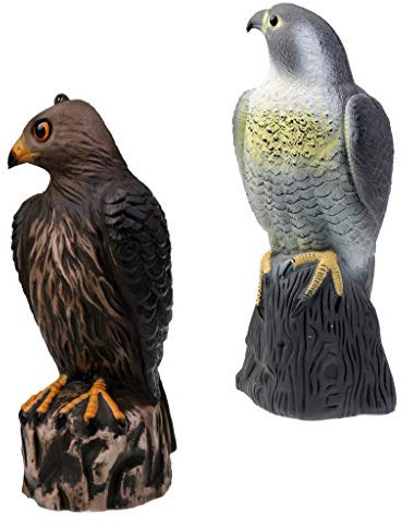 Inzopo - Set di 2 pezzi, grande realistico aquila falco da caccia, per uccelli e piccioni