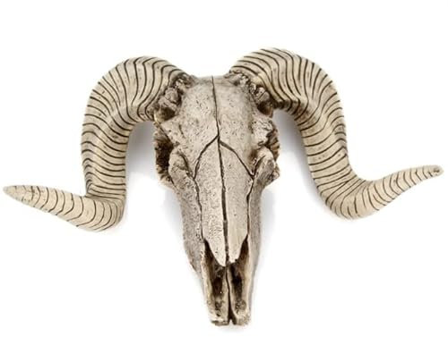 Ecoodisk 3D Ram Curled Horns Wall Wildlife Animal Head Sculpture Wall Mounted Decor Bedroom Living Room Sheep Skull Wall Decorative Ornaments,25.5 * 17.5CM,B