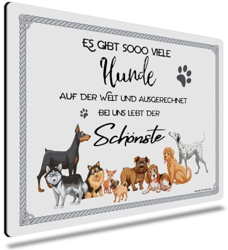TRIOSK Dekoschild Hund Schild lustig mit Spruch Es gibt so viele Hunde auf dieser Welt Metallschild Hinweis Hundeschild Sprüche Geschenk für Hundebesitzer Blechschild 30x20 cm groß