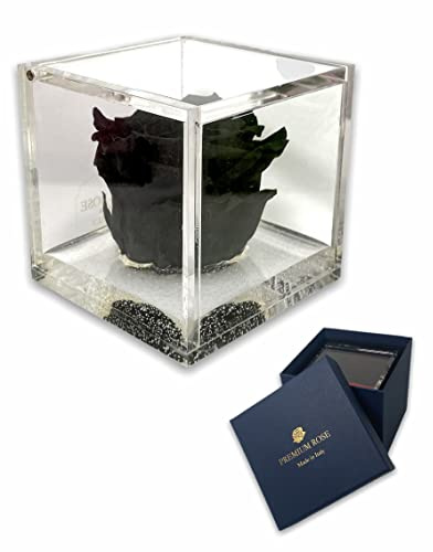 Passionefiori.it S 1087 Luxury Rose Stabilizzate Vere in Cubo più Spesso Luxury 8 e Scatola Regalo Lusso, Cubo Rosa stabilizzata Nera, Rosa eterna