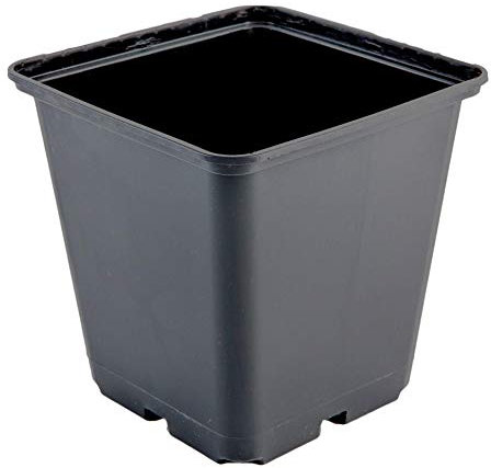 Greenvass 15 x vaso per coltura idroponica quadrata, 13 x 13 x 13 cm. 15 unità.