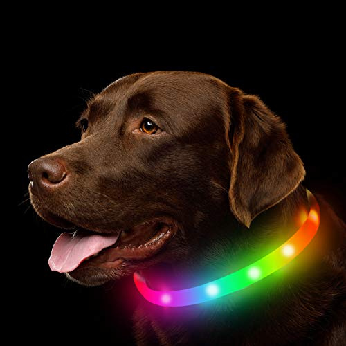NOVKIN LED-Hundehalsband, wiederaufladbares Hundehalsband mit RGB-Farbwechsel, wasserdichte Hundelichter machen das Haustier sichtbar und sicher für Nachtspaziergängefür kleine, mittelgroße Hunde
