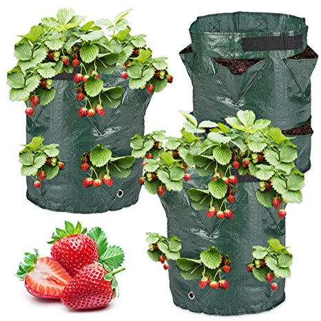 Relaxdays Strawberry Grow Bags, 3X Set, for Cultivation, Ventilation & Drainage, 2 Handles, HxD: 44 x 33 cm, Dark Green