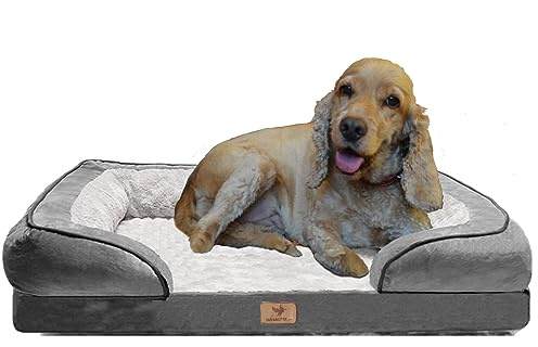 Traumreiter orthopädisches Hundebett für mittelgroße Hunde M Grau I Hundekörbchen Hundekorb Hundekissen Hundehöhle Hundesofa Hunde Bettchen Hundebetten für mittlere Hunde 70x50 cm