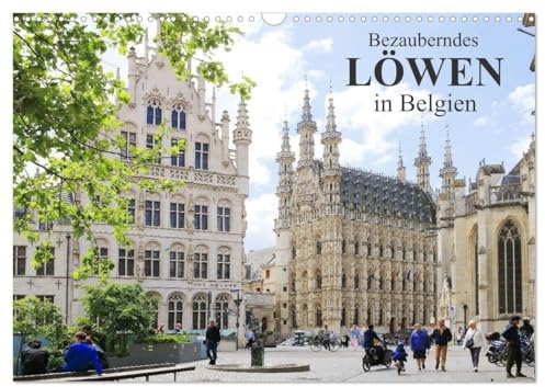 Bezauberndes Löwen in Belgien (Wandkalender 2026 DIN A3 quer), CALVENDO Monatskalender: Eine lebendige Universitätsstadt voller Geschichte, ... und pulsierendem Kulturleben (CALVENDO Orte)