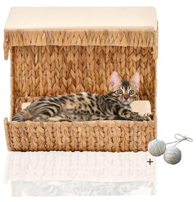 Rohrschneider Katzen Liegemulde Cäsar