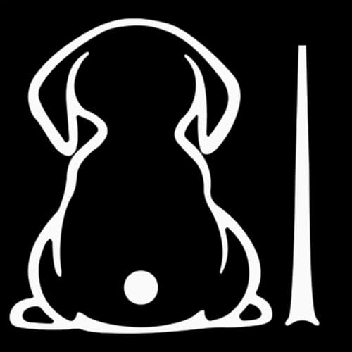 Funny Dog Tail Car Sticker, Moving Tail Car Sticker, Funny Windshield Wiper Decal, Dog Tail Rear Wiper Sticker, Cute Dog Car Sticker, Rear Window Wagging Tail Decal, Funny Dog Exterior Decal