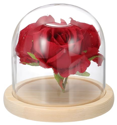 sourcing map Glass Cloche Display Dome, 4.7 x 4.7 Glass Dome Display Case Wood Base Tabletop Jar Case Decorative Bell Jar for Plant Home Decor Office Wedding Party, Natural