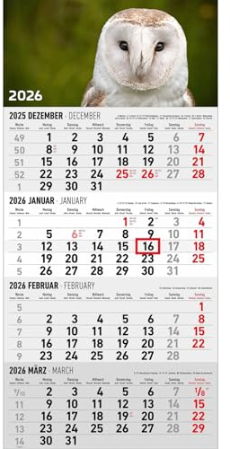 4-Monatskalender 1 Block - XL - Eule 2026